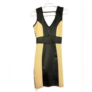 Foreign Exchange Black and Tan Mini Dress